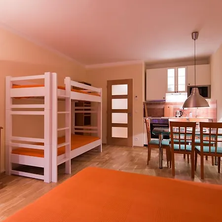 Medvedin 408 Apartment